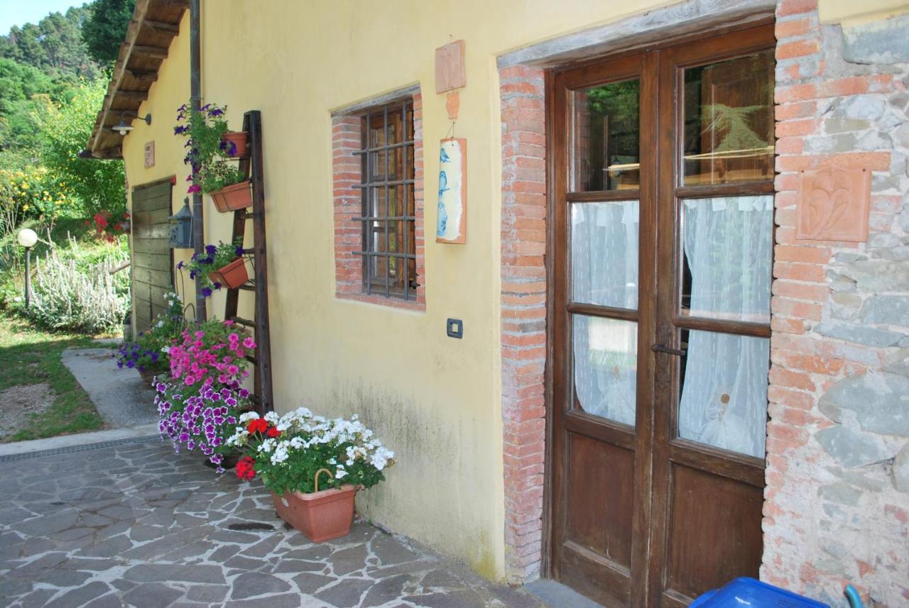 A Casa Del Tosi Villa ลุคคา ภายนอก รูปภาพ