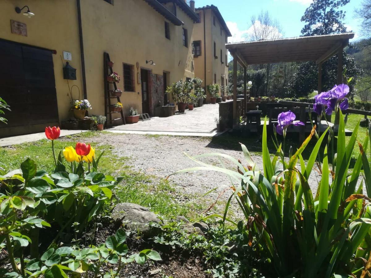 A Casa Del Tosi Villa ลุคคา ภายนอก รูปภาพ